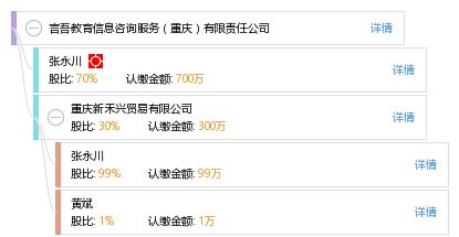 言吾教育信息咨詢服務（重慶）有限責任公司 深耕山城，賦能未來的信息咨詢專家