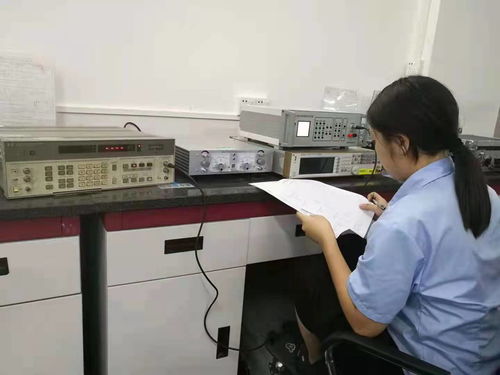 專業保障，精準計量 隴西電力廠儀器儀表校準檢測服務